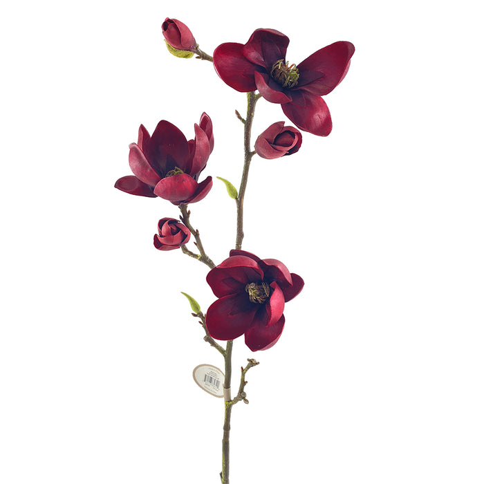 29" Tree Magnolia - Burgundy