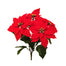 19 in Poinsettia Bush - Red