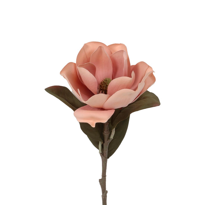 29 in Magnolia Spray - Antique Rose