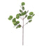 32" Round Eucalyptus Stem - Green