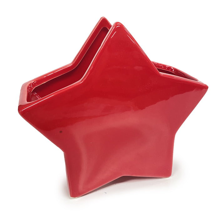 Small Red Star Planter