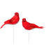 Feather Cardinal On 6"Wire