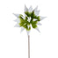 Poinsettia Stem - Green/White