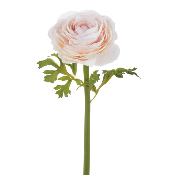 22" Ranunculus Stem - Dusty Peach