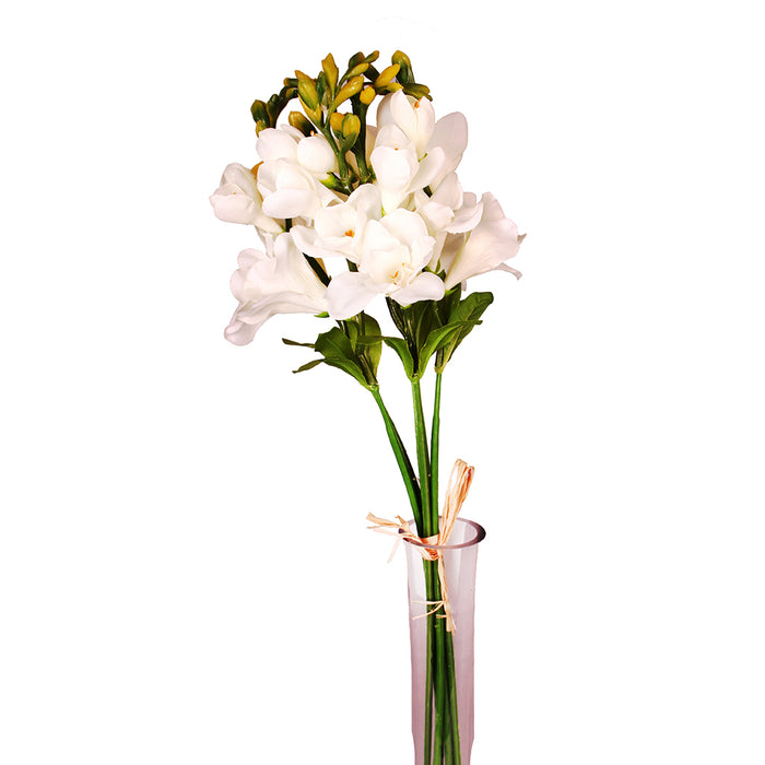 Freesia Bundle X 6 17 In White