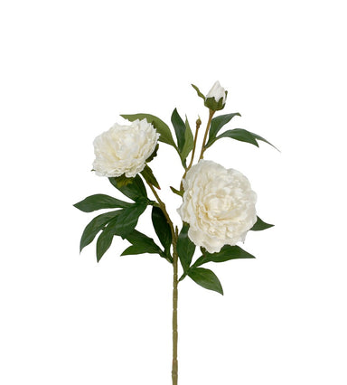 29" Garden Peony Spray - White