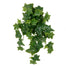 24" Real Touch Vinyl Hanging Sage Ivy Bush - Green