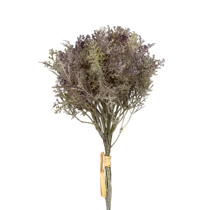 Misty Asparagus Fern Bundle - Purple