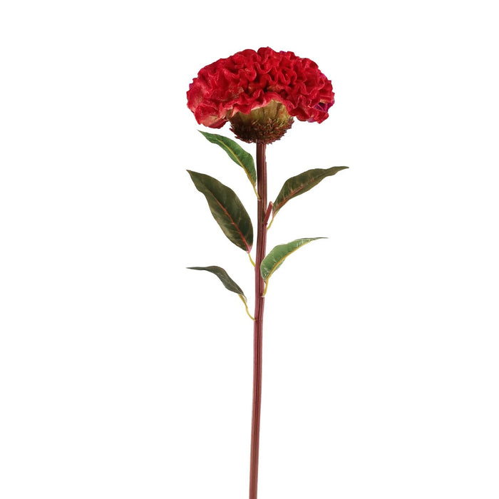 22.5 in Ball Celosia - Red