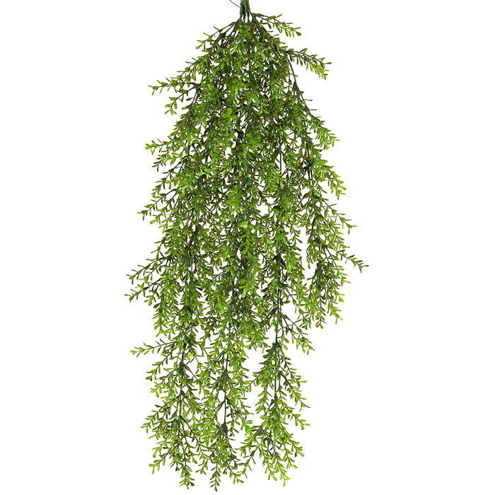 Boxwood Bush Hanging 22 In Green Tt