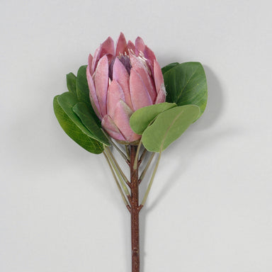 27" Polyester Protea - Mauve