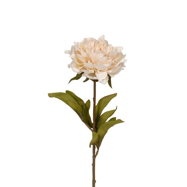 Ruffle Peony - Linen