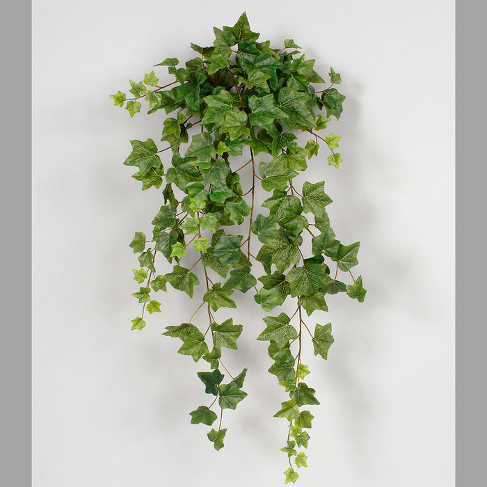 38" English Ivy Hanging Bush - Green