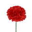 Single Carnation Head Pick- 100pcs/box