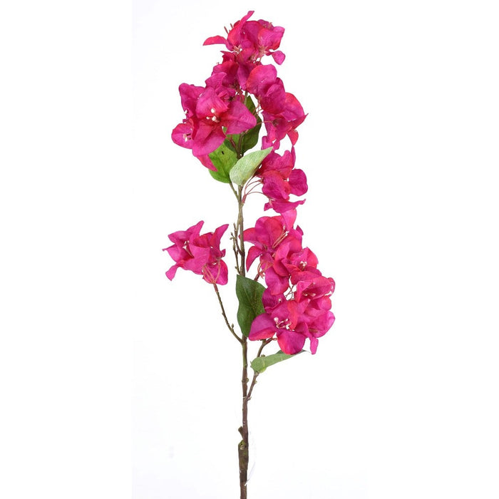 33 in Bougainvillea Stem - Fuchsia