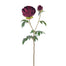 27 in Peony - Burgundy