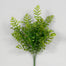 Fern Bush - Two Tone Green