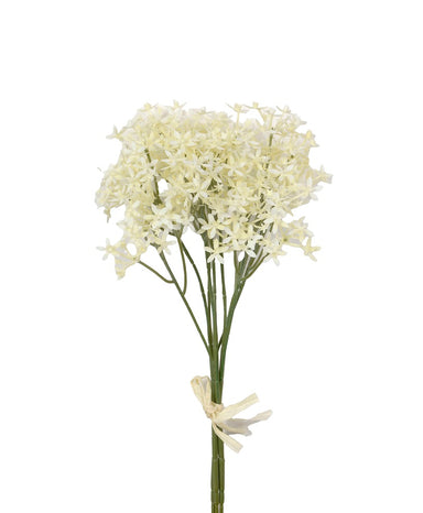 14 in Starflower Bundle - Cream