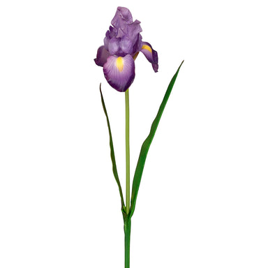 28" Iris w/Leaves - Purple/Yellow