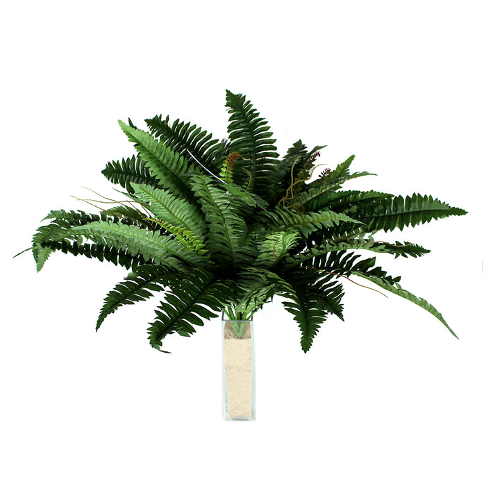 Boston Fern Bush X 4 W-53 23 In Green