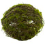 7.5" In Twig Moss Ball