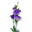 Lisianthus