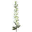 Larkspur Spray