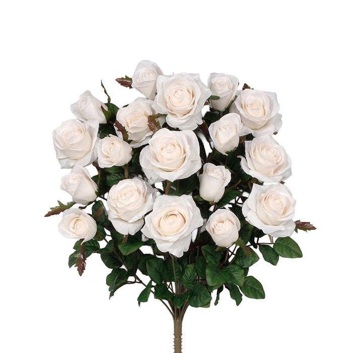 Grandiflora Rose Bush