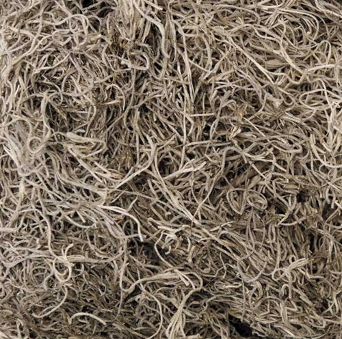 1 Lb Spanish Moss - Natural