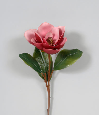 Magnolia w/Leaves - Fuchsia