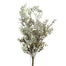 20 In Dusty Miller Bush X9 Natural