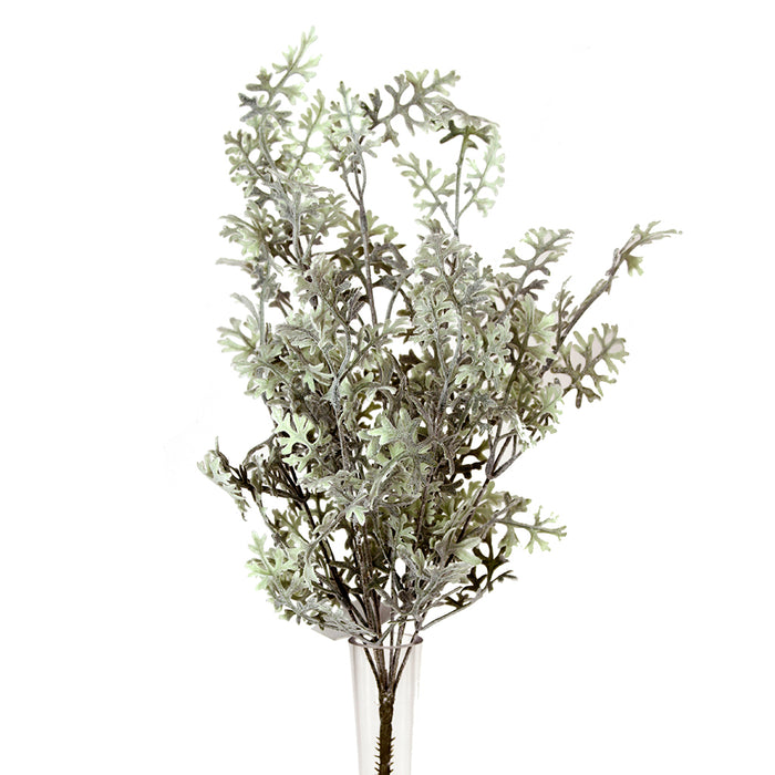20 In Dusty Miller Bush X9 Natural