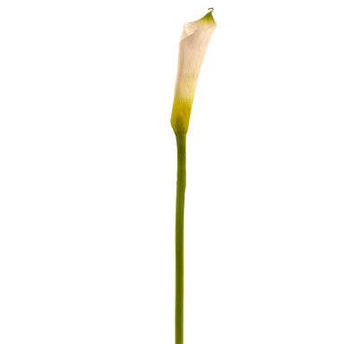 25" Calla Lily Stem - White