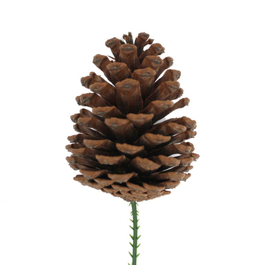 Natural Pinecone Pick