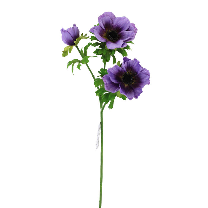 22 in Anemone Spray