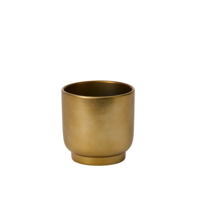 5 in Kellen Pot - Gold