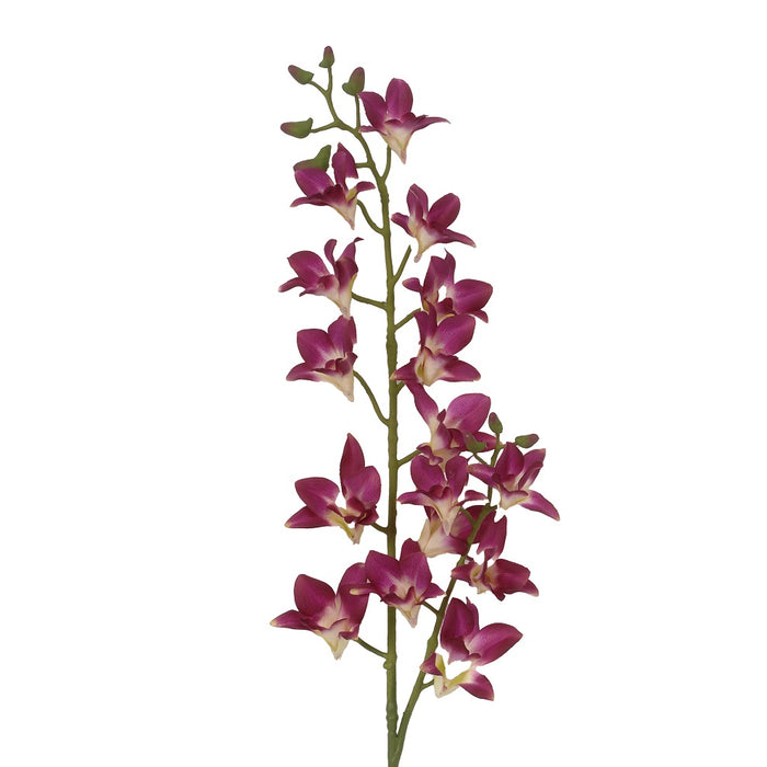 34 in Dendrobium Spray