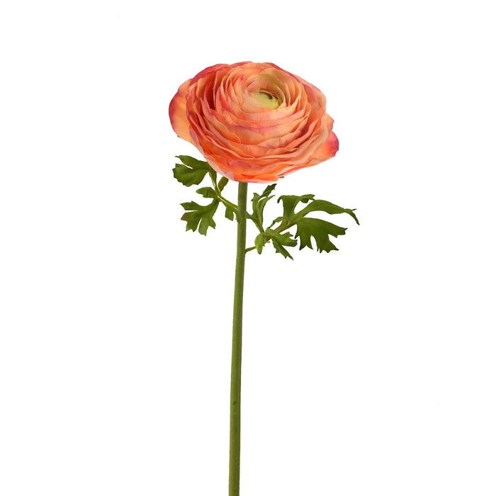 22" Natural Touch Ranunculus - Coral