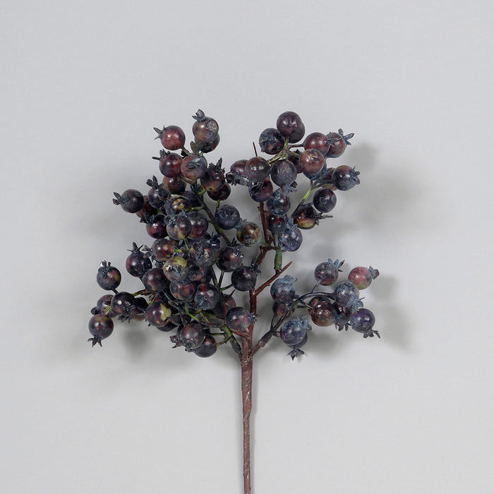 Pomegrante Berry Pick Dk Blue