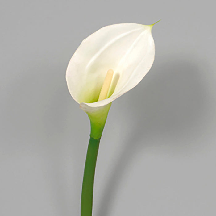 26" In Calla Lily Stem