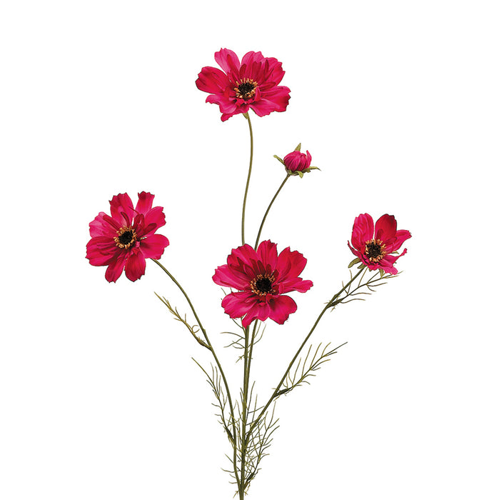 32 In Cosmos Spray X 5