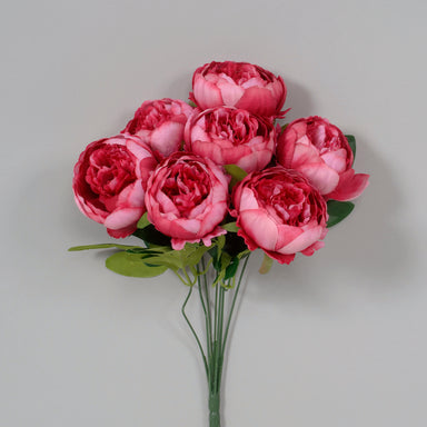 Peony Bush