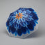 30"D Umbrella W/Flower Designs 6 Asst