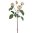 23 in Heritage Rose Spray - Champagne
