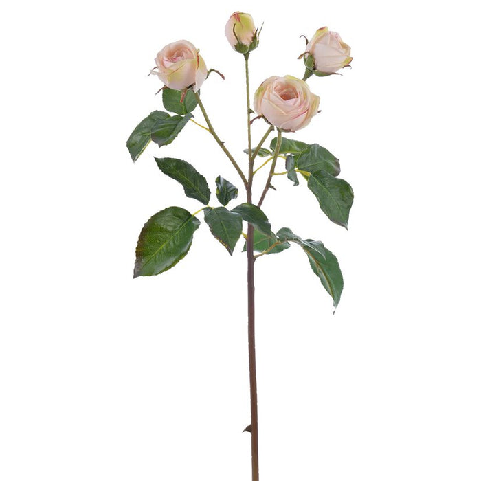 23 in Heritage Rose Spray - Champagne