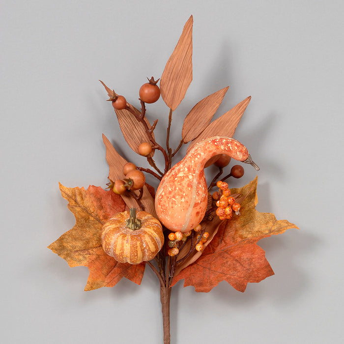 Fall Gourd/Berry Pick
