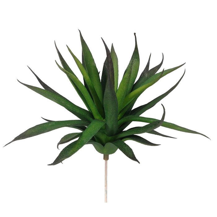 6 in Agave Pick