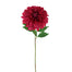 29 in Stellar Dahlia Stem