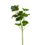 31 in Geranium Leaf Spray