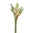 36" Torch Heliconia - White